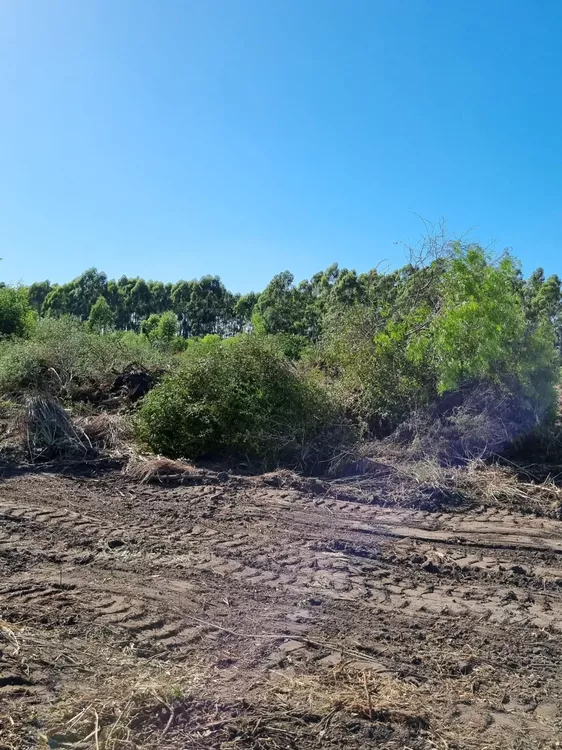 WhatsApp Image 2023-02-02 at 09.54.33